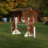 agility 2011-10-30